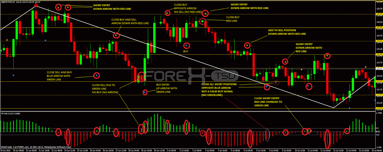 Bloomberg - Adakah anda robot? strategi strategi forex video